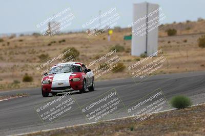 media/May-03-2025-Lucky Dog Racing (Sat) [[206de64b9d]]/Turn 6 (150pm-230pm)/